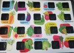 Stop & Shop Grow & Learn Tray